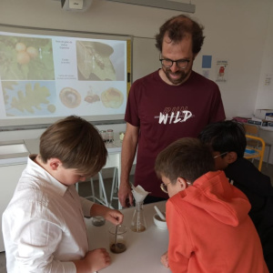 photo encre gallique en classe